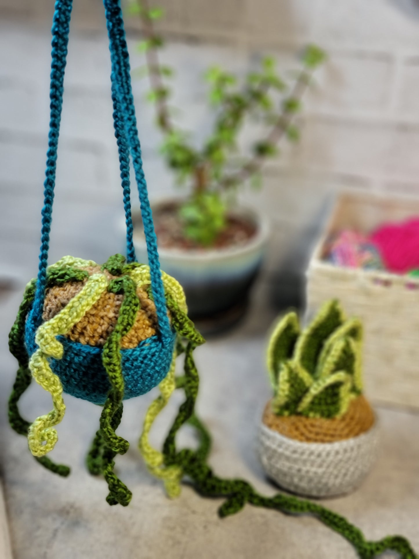 Crochet Houseplants